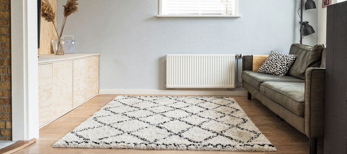A bright living room with a clean patterned rug on a wooden floor